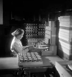 Pracownica pakuje puszki papierosów, Londyn 1950