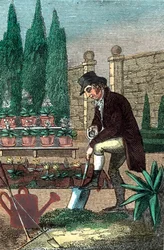 Ogrodnik kopiący łopatą, 1821