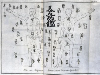 Akupunktura: mapa ciała ludzkiego wskazująca punkty moksybucji, Japonia (mapa dotycząca moksy, ok. 1690)