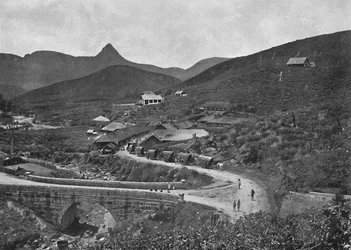 Plantacja herbaty Adamspik i Brownlow, 1926