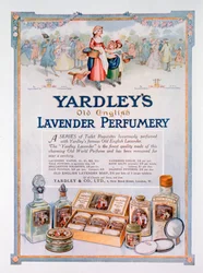 Ogłoszenie perfumerii Yardleys Old English Lavender, 1923