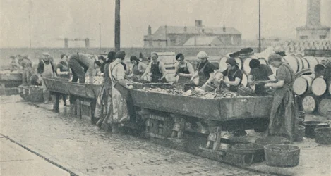 Ważna część branży. Szkockie dziewczyny zajęte patroszeniem w Yarmouth, 1937