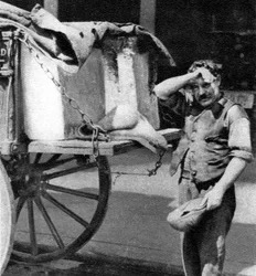 Człowiek lodu z wózkiem, Londyn, 1926-1927