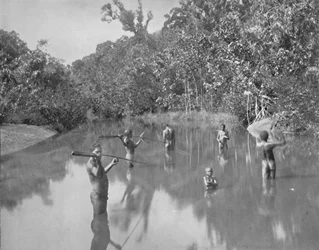 Australijscy Aborygeni Spearing Fish, XIX wiek