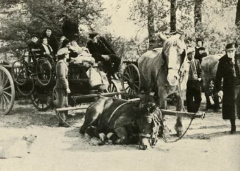 Belgijscy uchodźcy w drodze, 1939-1940, 1941.