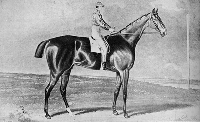 Czarna loka, 1814-1831, 1911