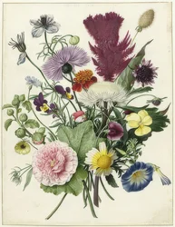 Bukiet kwiatów. 1680
