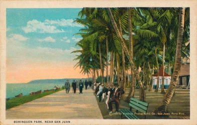 Park Borinquen, niedaleko San Juan, 1909