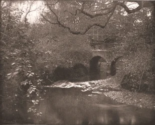 Potok i most w New Forest, Hampshire, 1894.