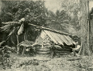 Bush Hut, Dandenong Ranges, Wiktoria, 1901.