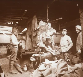Rzeźnicy na barce, Somme, północna Francja, c1914-c1918