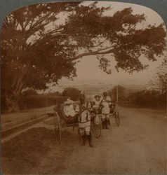 Taksówki ciągnięte przez tubylców na drodze do zamieszkania, Durban, Południowa Afryka, ok. 1900