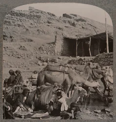 Pociąg wielbłądów z Jerash, podlewanie przy Fontannie Elizeusza, ok. 1900