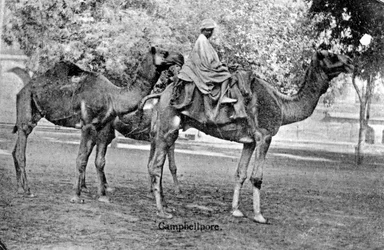 Campbellpore, Pakistan, XX wiek