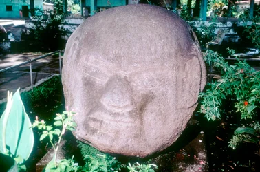 Rzeźbiona monolityczna głowa z Monte Alto, Gwatemala, okres prekolumbijski, okres preklasyczny, 1500-100 pne