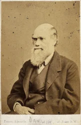 Karol Darwin, angielski przyrodnik, ok. 1870