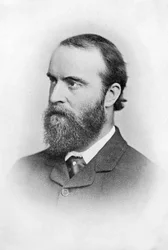 Charles Stuart Parnell, XIX-wieczny polityk irlandzki, c1874-1891