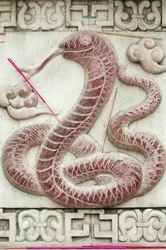 Chiński znak zodiaku. Świątynia Białej Chmury Pekin Chiny