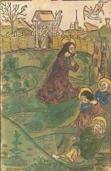 Chrystus na Górze Oliwnej, ok. godz. 1490.