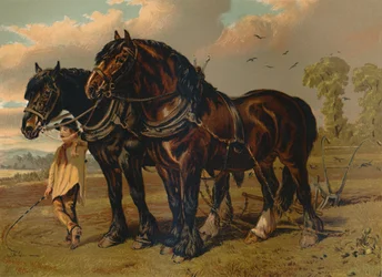 Ogier i klacz Clydesdale, ok. 1879 r.