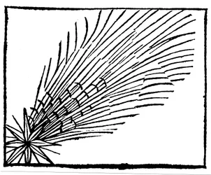 Kometa 684 Halleya, 1493