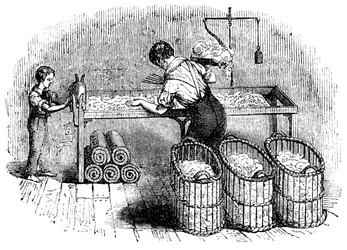 Produkcja bawełny, c1845