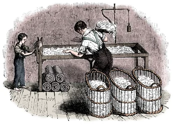 Produkcja bawełny, c1845