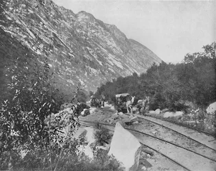 Kanon Cottonwood, Utah, c1897.