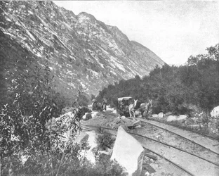 Cottonwood Canyon, Utah, USA, ok. 1900.