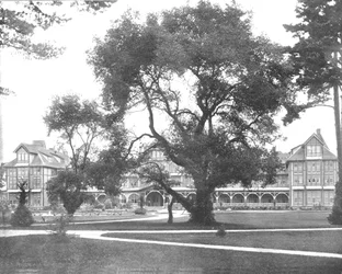 Del Monte, Monterey, Kalifornia, USA, ok. 1900.