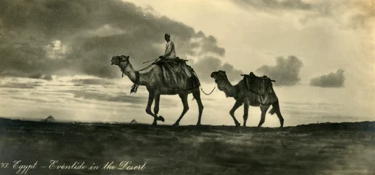 Egipt - Eventide na pustyni, c1918-c1939.