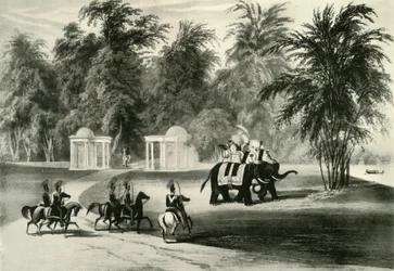 Słonie i ochrona ciała w Barrackpore Park, 1820, 1925.