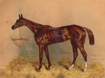 Emblemat Klacz z przeszkodami, c1879.