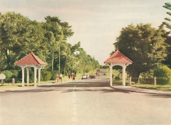Wejście do Kings Park, c1947.