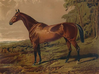 Fair Nel, c1879.