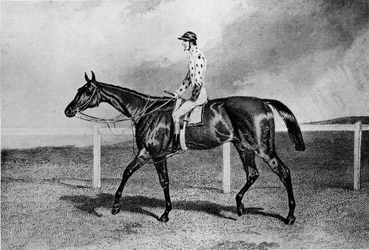 Fandango, XIX wiek, 1911