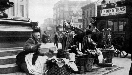 Sprzedawcy kwiatów na Piccadilly Circus, Londyn, 1901 1951