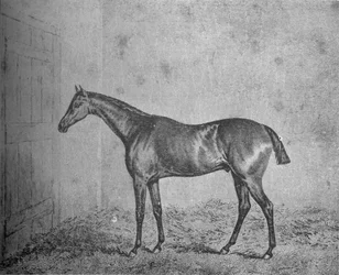Fryderyk, 1826-1837, 1911