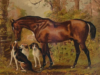 Masonem - ulubiony łowca zmarłego Hugo Meynella Ingram Esq., c1879.
