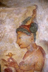 Fresk/Panie Sigiriya/Sri Lanka