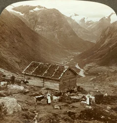 Z górskiej gospody w Vidde saeter w dół doliny Vidde - Skaala w prawej odległości, ok. 1905 r.