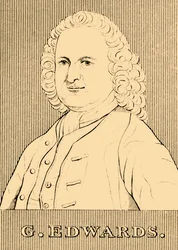 G. Edwardsa, 1694-1773, 1830.