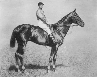 Galtee Więcej, 1894-1917, 1911
