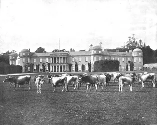 Goodwood, Hampshire, 1894.