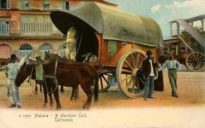 Hawana - Wózek Kupiecki, Wagon, c1910.