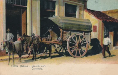 Habana - hiszpański koszyk. Karmazyn, ok. 1907