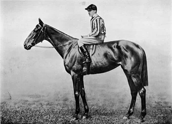 Hakers Pride, c1860, 1911