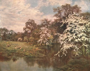 Kwiaty głogu, ok. 1899, ok. 1902.