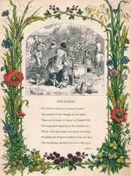 Zbieranie chmielu, ok. 1900