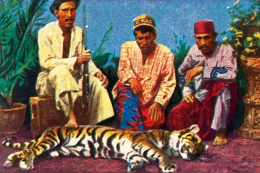 Łowcy z martwym tygrysem na Sumatrze, ok. 1928.